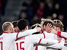 Fotbalisté Dánska se radují z gólu na Letné.