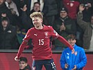 Pavel �ulc se raduje z gólu v bará�i s Dánskem.