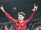 Kapitán fotbalové reprezentace Ladislav Krej�í slaví gól v prodlou�ení bará�e...