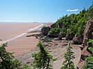 U Hopewell Rocks v kanadské zátoce Fundy je jedno z nejvy��ích vzdutí, rozdíl�...