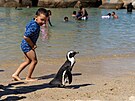 Plá� Boulders Beach se nachází na Kapském poloostrov� v jihoafrickém Simon�s...