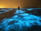 A je fakt, �e Mosquito Bay u ji�ního pob�e�í Vieques má krom� komár� rozhodn�...