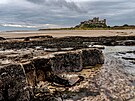 Temná silueta hradu Bamburgh, ost�e se rýsující se proti horizontu, p�sobí a�...