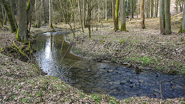 Za norm�ln�ho stavu vody p�ipom�naj� ��psk� potok i Javornice m�rumilovn� potoky, po de�t�ch se ale mohou rozvodnit a zkomplikovat tak pr�chod na n�kter�m z m�st.