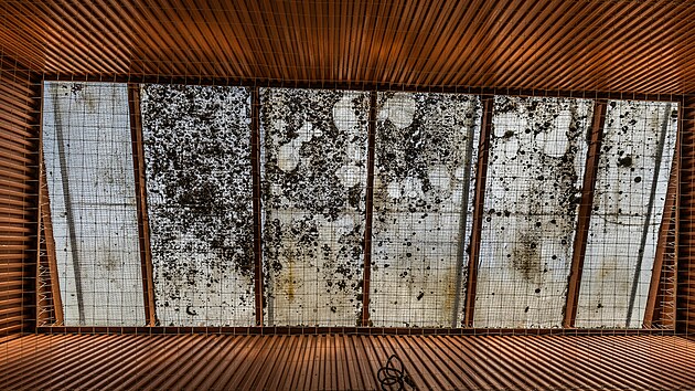 Nev�bn� z�kout� hradeck� Bene�ovy t��dy (26. b�ezna 2026)