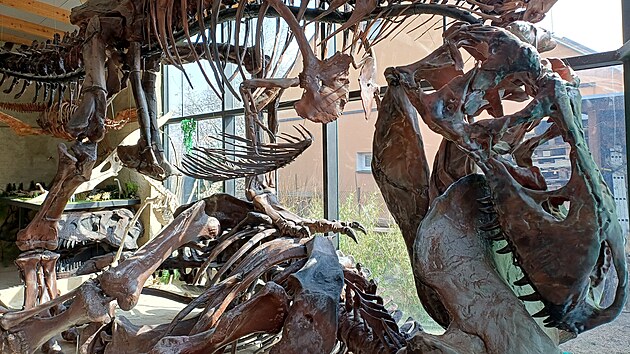 Luk� Vym�tal vystavuje v Dinosau��m muzeu �ertoryje v�rn� repliky dinosaur�, kter� vyrobil s pomoc� 3D tisk�rny.