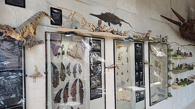Luk� Vym�tal vystavuje v Dinosau��m muzeu �ertoryje v�rn� repliky dinosaur�, kter� vyrobil s pomoc� 3D tisk�rny.