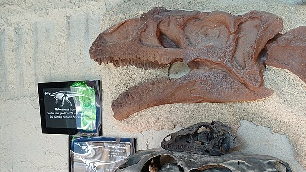 Luk� Vym�tal vystavuje v Dinosau��m muzeu �ertoryje v�rn� repliky dinosaur�, kter� vyrobil s pomoc� 3D tisk�rny.