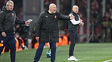 �eský kou� Miroslav Koubek rozdává pokyny v utkání proti Dánsku.