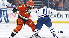 Radko Gudas z Anaheimu se bije s Maxem Domim z Toronta.