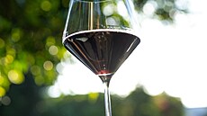 Americké podniky m�ní vinné lístky, cla tla�í ceny evropských vín vzh�ru. (26....