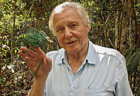 Z dokumentu David Attenborough a ob�í vejce (2010). Ten p�ipomíná, jak p�ed...