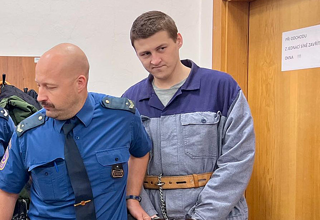 Podřízl svého psa a nechal ho krvácet. O výši mladíkova trestu rozhodli i svědci