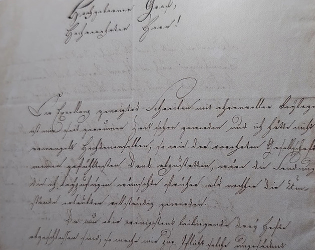 Továrník i cirkusák. Spektakulární život renesančního člověka Huga Salma