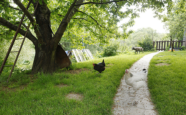 U řeky, s dětmi a zvířectvem po boku, vybudovali za léto zahradu jako sen