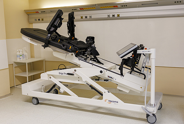 V Německu běžná, u nás péče po mrtvici a úrazech mozku chybí. Vznikl plán na změnu