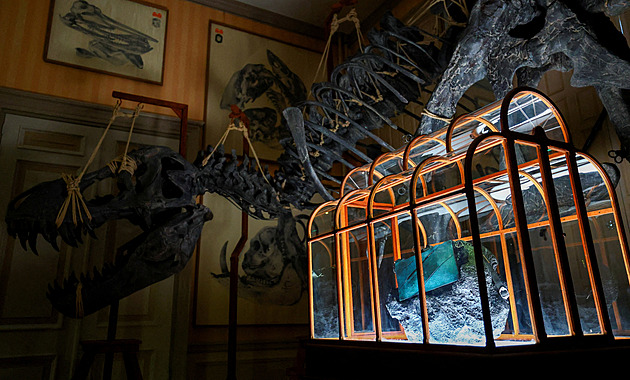 Luxusní kabelka z T-rexe jde do dražby, vyvolávací cena přesahuje 10 milionů