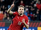 Michal Sadílek po rozhodující penalt� v bará�i proti Dánsku.