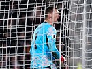 Branká� Mat�j Ková� se raduje z druhého �eského gólu v bará�i proti Dánsku.