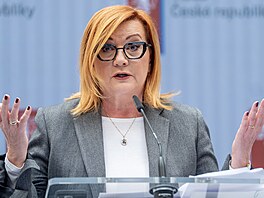 Vláda Andreje Babi�e rozhodla o zastropování mar�í distributor� paliv i sní�ení...