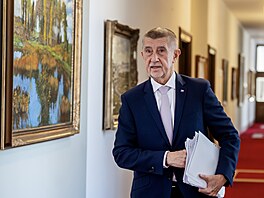 P�edseda vlády Andrej Babi� p�ichází na mimo�ádné jednání kabinetu o ...