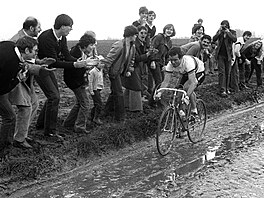 Bernard Hinault, Pa�í�-Roubaix 1981