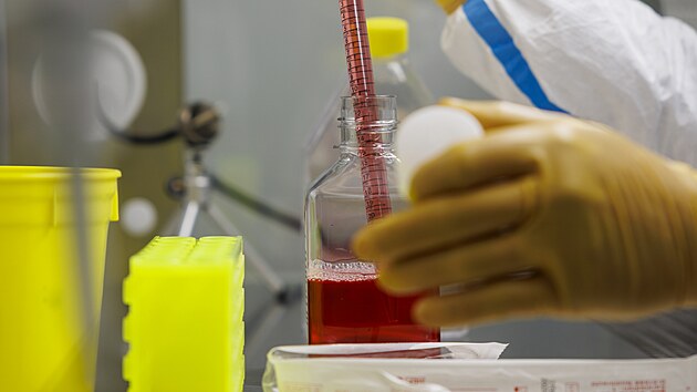 Nov� z�zem� Centra excelence Creatic L�ka�sk� fakulty Masarykovy univerzity poslou�� pro v�voj a v�robu modern�ch genov�ch a bun��n�ch terapi�. (8. dubna 2026)