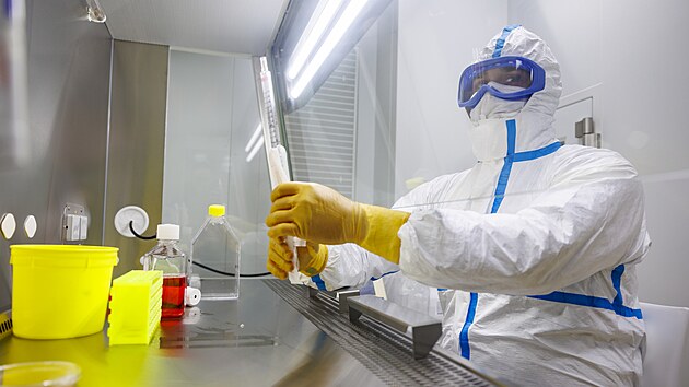 Nov� z�zem� Centra excelence Creatic L�ka�sk� fakulty Masarykovy univerzity poslou�� pro v�voj a v�robu modern�ch genov�ch a bun��n�ch terapi�. (8. dubna 2026)