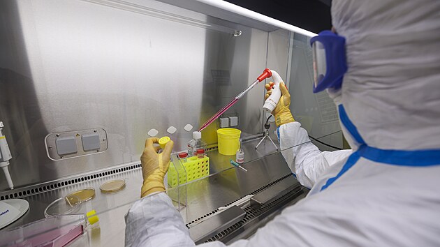 Centrum excelence Creatic se nach�z� v univerzitn�m kampusu Masarykovy univerzity v brn�nsk�ch Bohunic�ch. (8. dubna 2026)