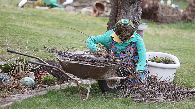 Ane�ka se pustila do pr�ce. Zat�mco Alois st��h� v�tve ze �tafl�, ona je ukl�d�. (2. dubna 2026)