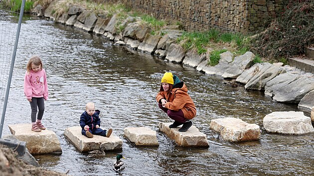 Nov� brod za�ne v Pelh�imov� fungovat letos v �ervnu. N�kte�� m�stn� si ov�em p�echod p�es kameny zat�m aspo� zkou��. (2. dubna 2026)