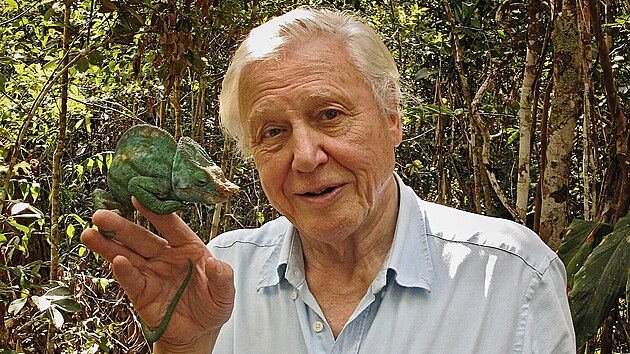 Z dokumentu David Attenborough a ob�í vejce (2010). Ten p�ipomíná, jak p�ed...