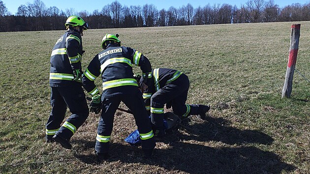 Mlad� srnec uv�zl v elektrick�m ohradn�ku. Hasi�i ho vyprostili za 9 minut. (7. dubna 2026)