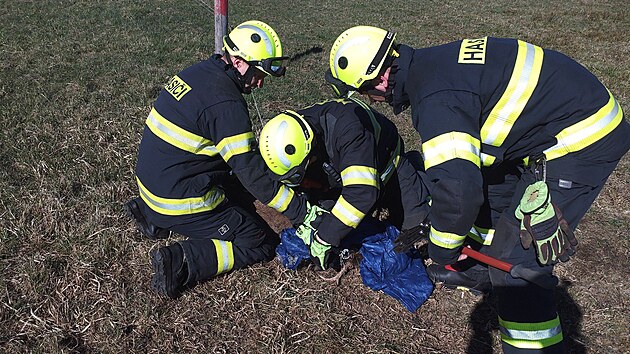 Mlad� srnec uv�zl v elektrick�m ohradn�ku. Hasi�i ho vyprostili za 9 minut. (7. dubna 2026)