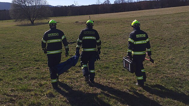 Mlad� srnec uv�zl v elektrick�m ohradn�ku. Hasi�i ho vyprostili za 9 minut. (7. dubna 2026)
