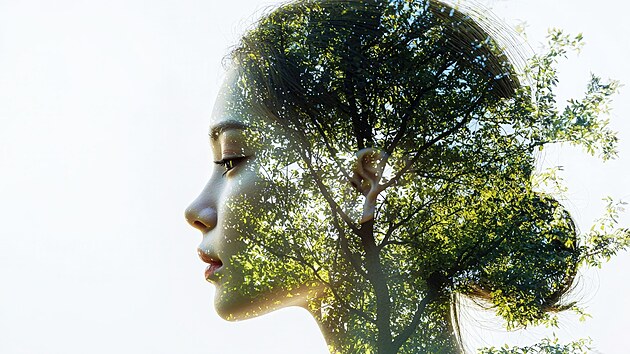 Ka�d� z lid� m� sv�j strom, n�kdo �t�hl� a vysok�, dal�� n�zk�, zato ko�at��...