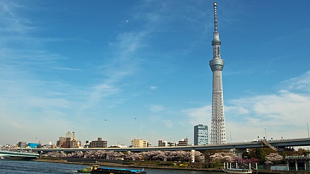 Pro prvn� orientaci v Tokiu m� velk� smysl za��t na v��ce. Tokyo Skytree stoj� v obvodu Sumida, m��� 634 metr� a je nejvy��� v�� v Japonsku.