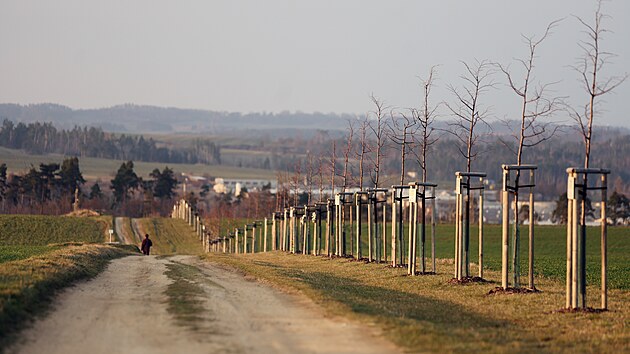 Alej �eskoslovensk�ch para�utist� p�ipom�naj� vedle lip tak� vlajky obou zem�, kde voj�ci p�sobili. Ka�d� ze strom� nese jm�no jednoho konkr�tn�ho hrdiny, kter� byl za v�lky vysazen do protektor�tu.