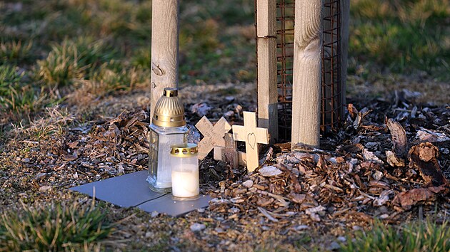 Alej �eskoslovensk�ch para�utist� p�ipom�naj� vedle lip tak� vlajky obou zem�, kde voj�ci p�sobili. Ka�d� ze strom� nese jm�no jednoho konkr�tn�ho hrdiny, kter� byl za v�lky vysazen do protektor�tu.