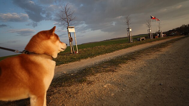 Alej �eskoslovensk�ch para�utist� p�ipom�naj� vedle lip tak� vlajky obou zem�, kde voj�ci p�sobili. Ka�d� ze strom� nese jm�no jednoho konkr�tn�ho hrdiny, kter� byl za v�lky vysazen do protektor�tu.