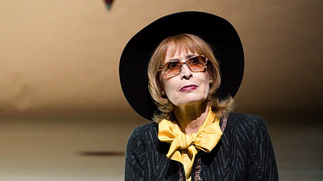 Monika �v�bov� v roce 2018