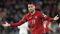 Tomá� Chorý svedl s dánskou obranou velké mno�ství souboj�.