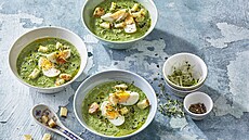 Jarní �penátová polévka