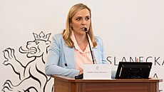 Politici za�ínají vybírat, kdo má být v Rad� �eské televize, v její� pravomoci...