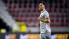 N�mecký fotbalista Mesut Özil
