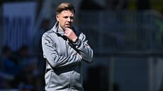 Hradecký trenér David Horej� v utkání s Bohemians.