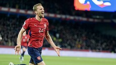 Radost Tomá�e Sou�ka v bará�ovém utkání proti Dánsku.