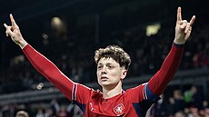 Kapitán �eské reprezentace Ladislav Krej�í slaví vst�elený gól.