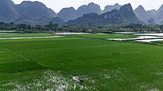 Farmá� pracuje na rý�ovém poli v Hanoji (17. b�ezna 2026)