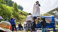 Práce na rý�ových polích v okolí Sapy ve Vietnamu (8. zá�í 2025)